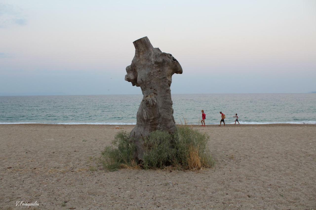 Medusa Beach Apartment, Asprovalta Zewnętrze zdjęcie